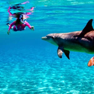Delfininteraktion in Hurghada