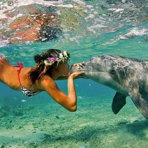 Dolphin House Hurghada buchen