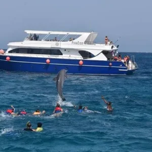Private Delfintouren in Hurghada