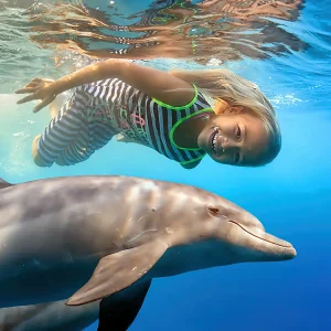 Schwimmen mit Delfinen in Hurghada