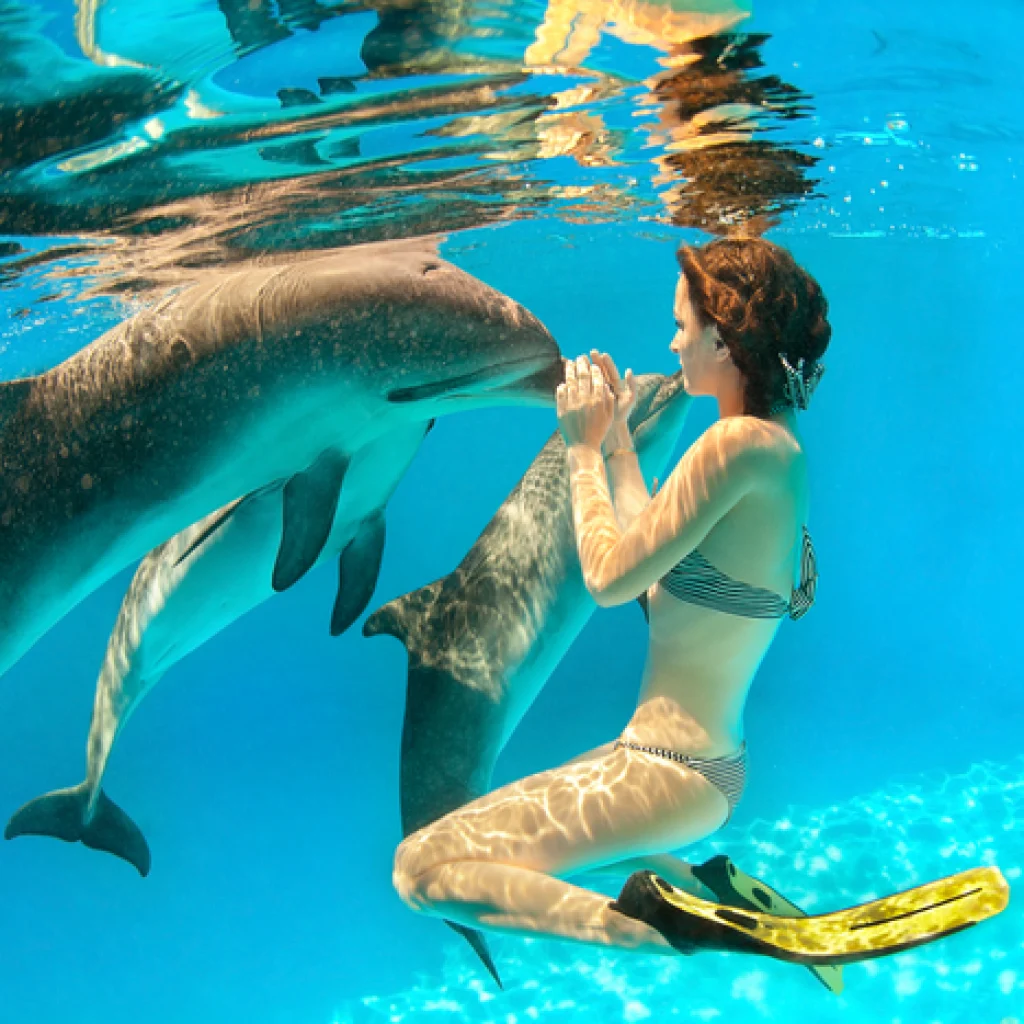 Familiendelfintouren in Hurghada