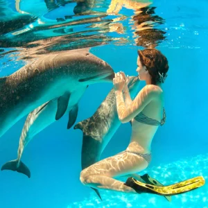 Familiendelfintouren in Hurghada
