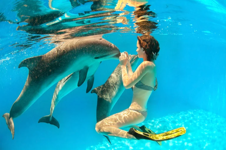 SWIMMING WITH DOLPHIN