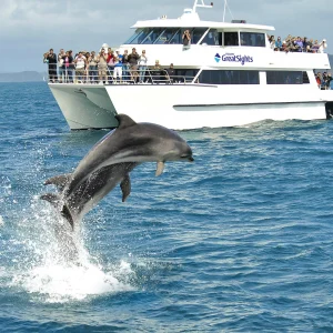 Das Dolphin House Hurghada hautnah erleben